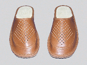 modello di pantofole 03